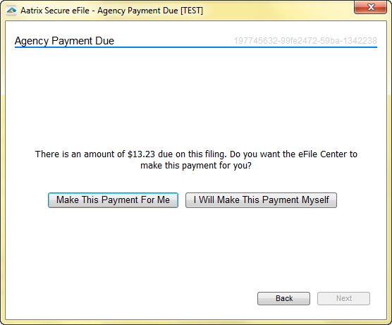 State Agency Payment Options