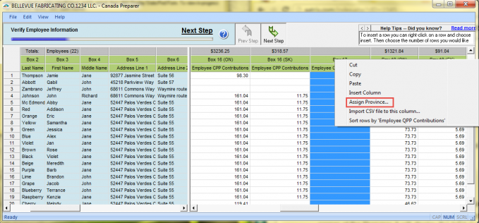 Learn more about the Preparer's functions.