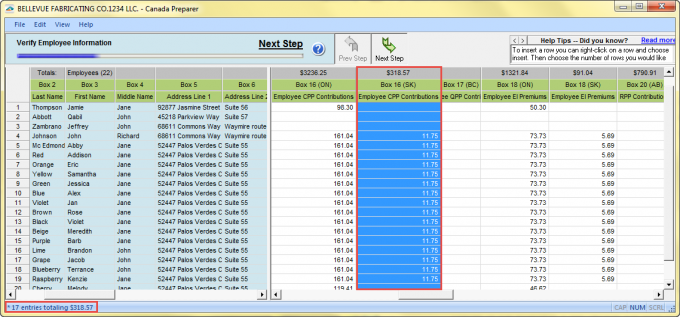 Learn more about the Preparer's functions.